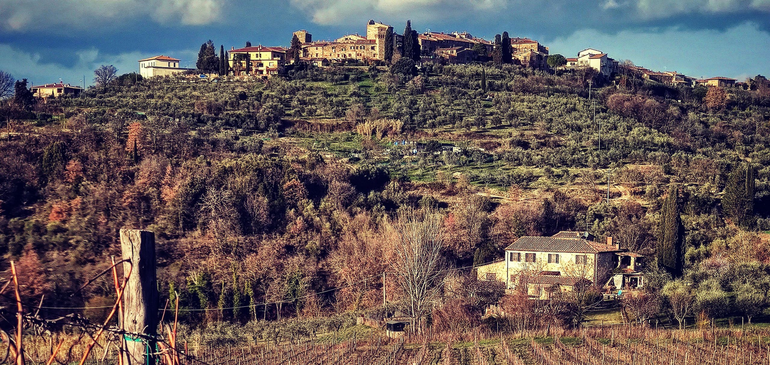 Landscape, panorama, vigneto, vigna, vineyard, chianti classico, tuscany, toscana, toscana
