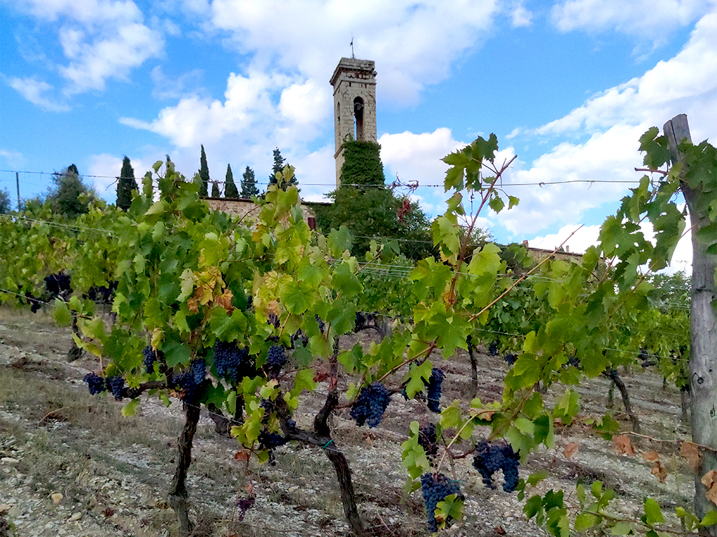 Cortine, San Donato in Poggio, Chianti Classico, Chianti