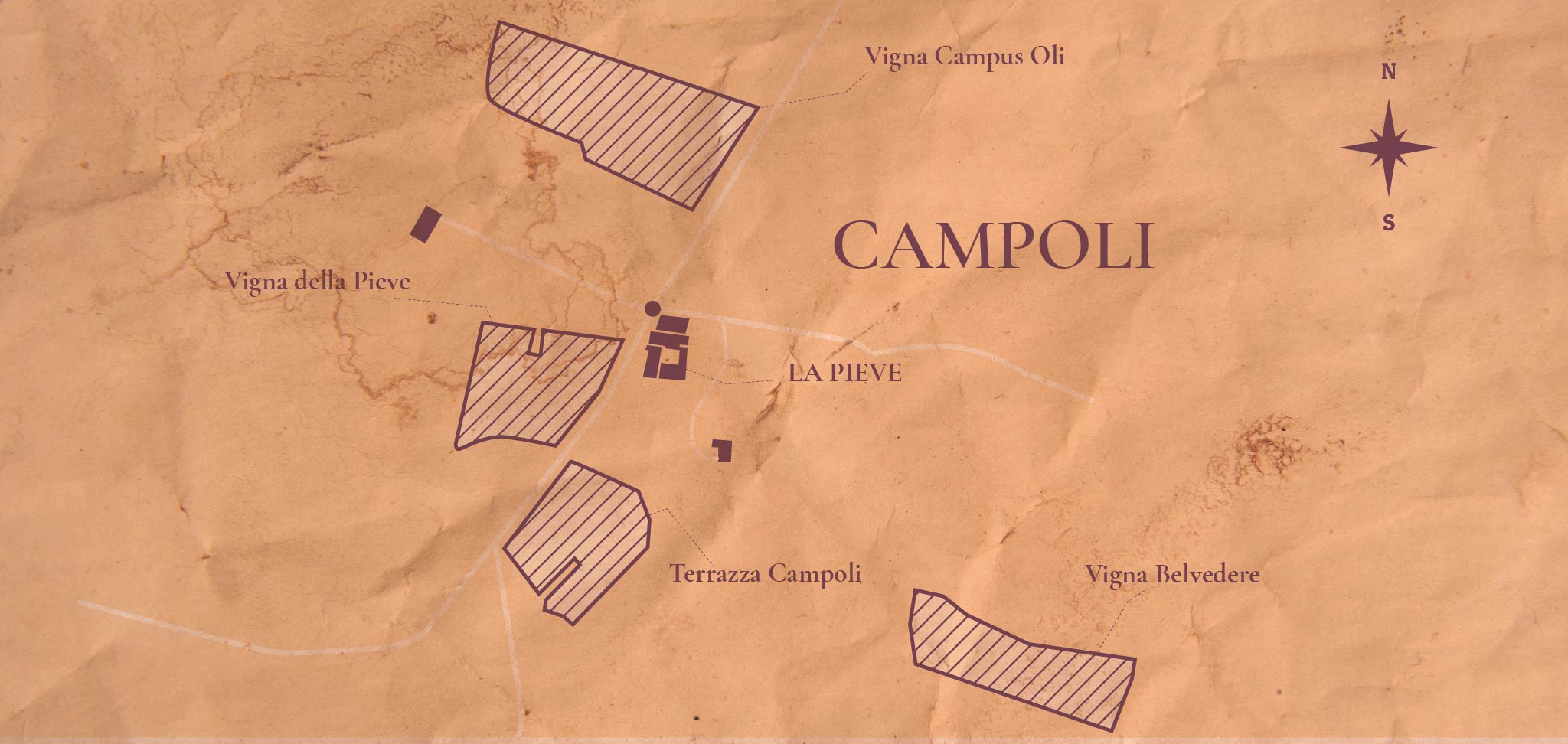 map,campoli,chianti classico,pieve di campoli,vineyard,maps